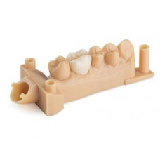 Harz für 3D-Drucker Dental Model V2 1l