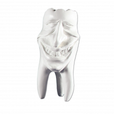 Hinrichs Zahnkollektion „Mike“ Gipszähne