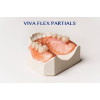 Viva Flex "LF" - 500 g Packung, Voll- und Teilprothesen