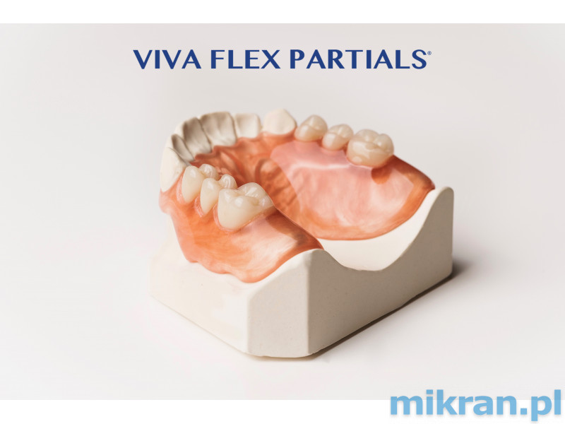 Viva Flex "LF" - 500 g Packung, Voll- und Teilprothesen