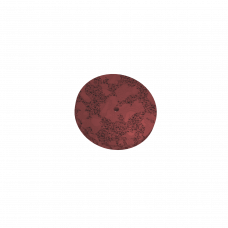 Schwammradierer - ultrazartes Rot