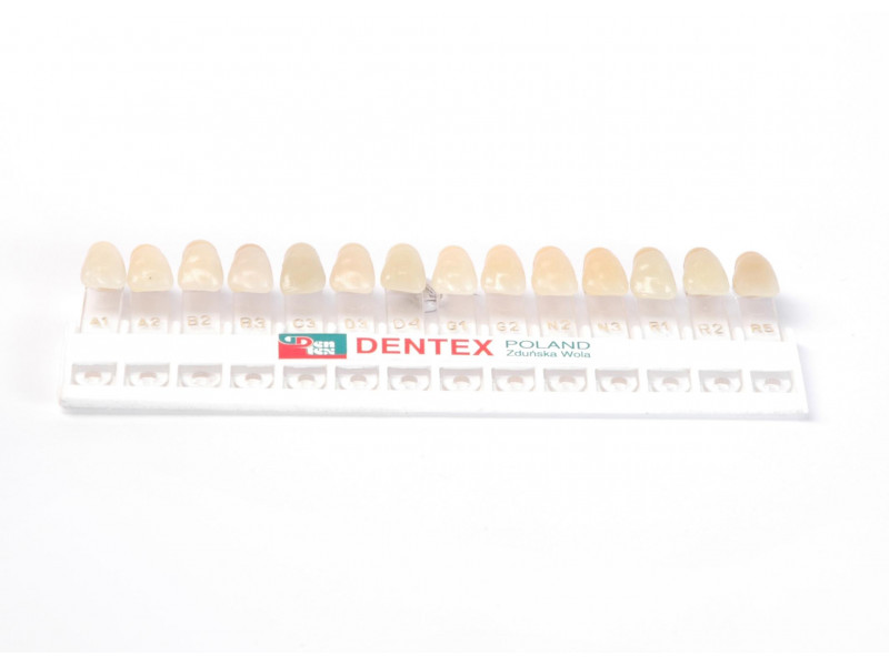 Dentex-Zahn-Shader
