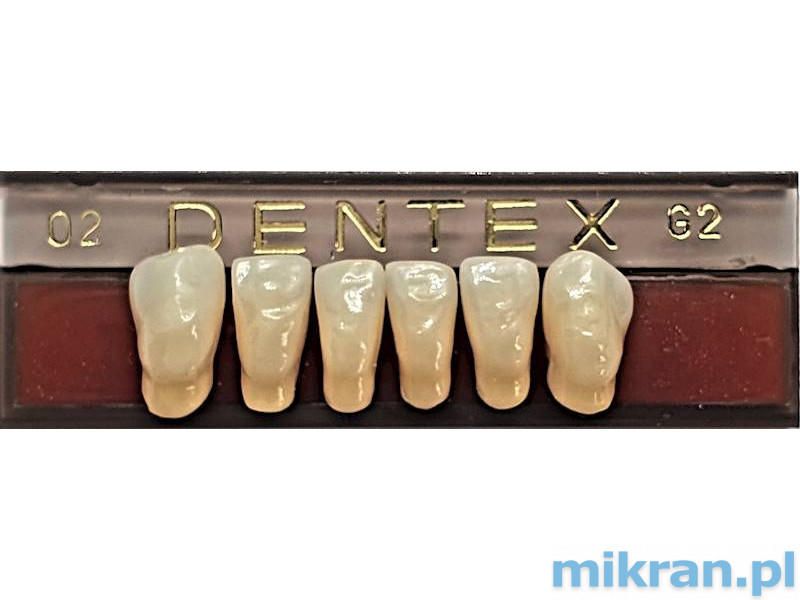 Dentex Vorderzähne 6 Stk