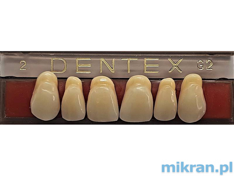 Dentex Vorderzähne 6 Stk