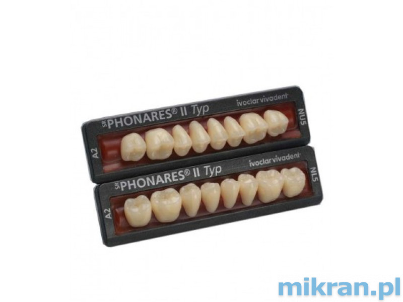 Phonares-Typ-II-Seitenzähne aus Komposit. Auf Anfrage verfügbar